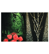 The Need For the Creed Al-Qadar: Allah's Decree(6)